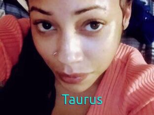 Taurus_