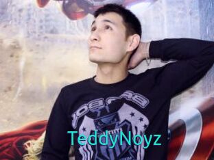 TeddyNoyz