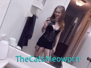 TheCatsMeowprrr