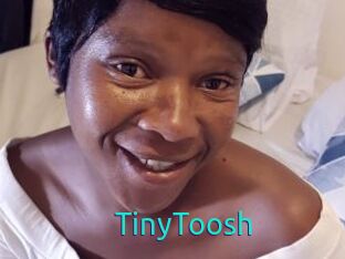 TinyToosh