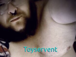 Toyservent
