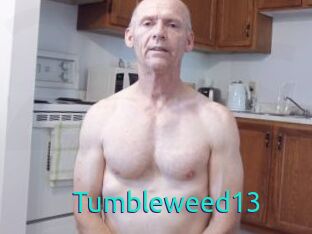 Tumbleweed13