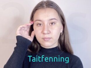 Taitfenning