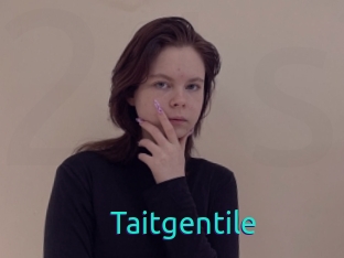 Taitgentile