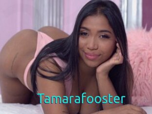 Tamarafooster
