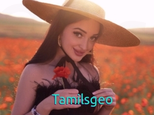 Tamilsgeo