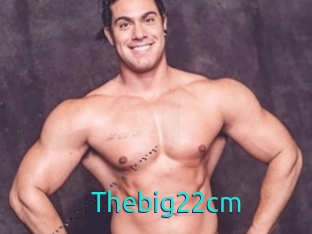 Thebig22cm