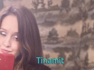 Tinamit