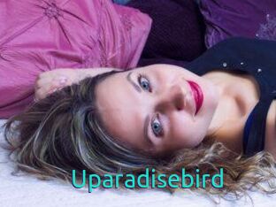 Uparadisebird