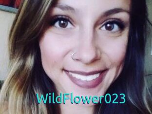 WildFlower023
