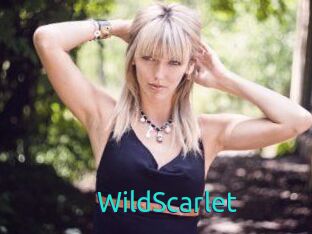 WildScarlet