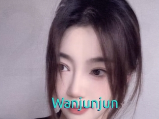 Wanjunjun