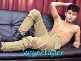 Waynetaylor