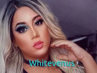 Whitevenus