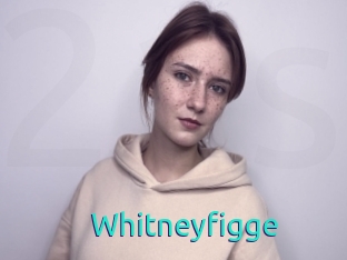 Whitneyfigge