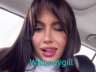 Whitneygill