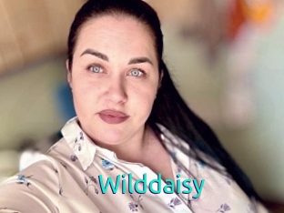 Wilddaisy