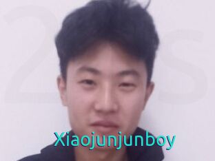 Xiaojunjunboy