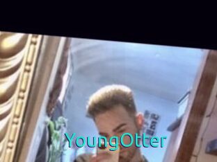 YoungOtter