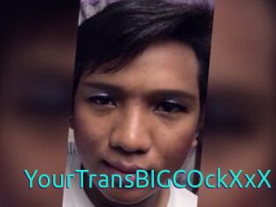 YourTransBIGCOckXxX