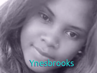 Ynesbrooks