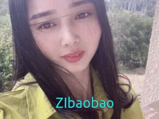 ZIbaobao